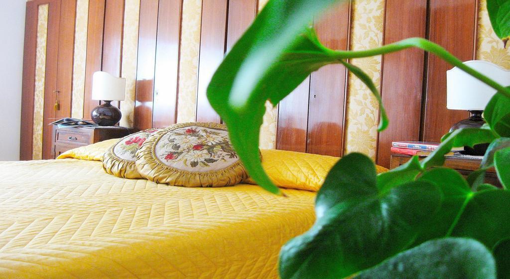 Casa de hóspedes Romulus Rex 2*